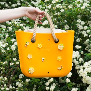 Корпус O bag mini Цедра o charms