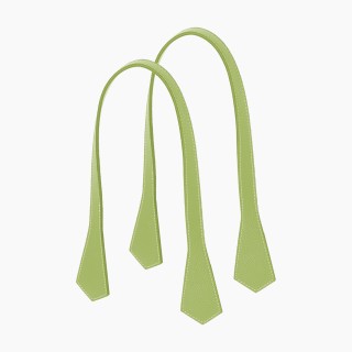 Довгі ручки плоскі Селера