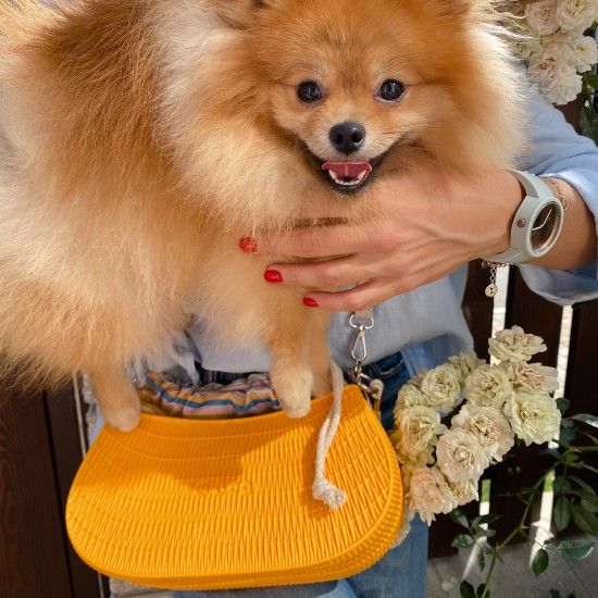 Корпус O swing Цедра